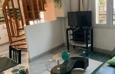 PAVILLON & Jardinet A 5 MN PARIS , 30 MN STADE de FRANCE au pied du RER B - Foto 15