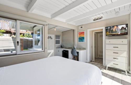 Bird Rock Dreams - Ocean Views, Massive Yard, Outdoor Dining, Fast Wifi & AC! - Foto 30