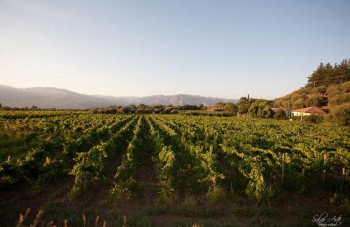 L'Antica Vigna - Foto 25