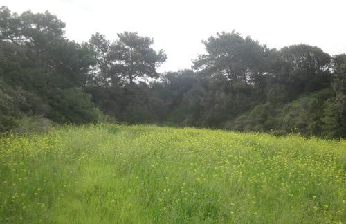 Stan&Family - Foto 26