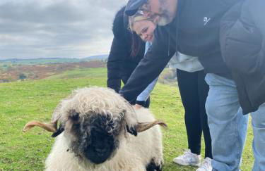 Unique Stay on an Alpaca Therapy Farm with Miniature Donkeys North Wales - Foto 26