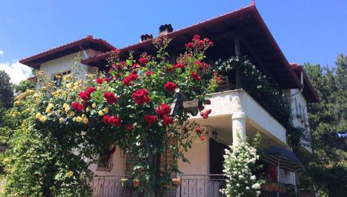 Koti Mountain House - Photo 3