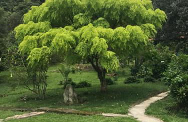 Chalés Lá na Roça - Photo 20