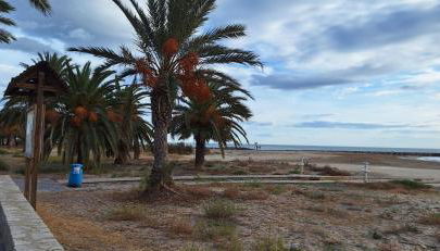 Vacaciones en el mar - Foto 4