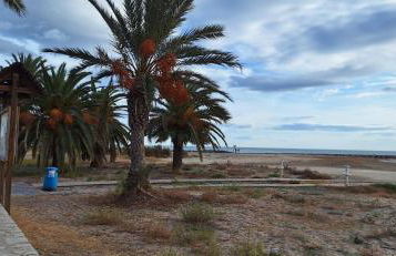 Vacaciones en el mar - Foto 4