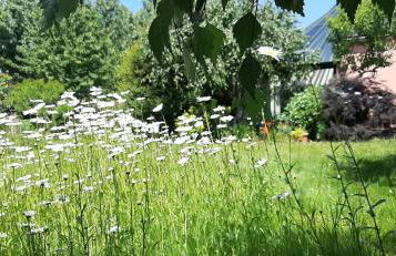 La Maison Rose - avec grand jardin clos à 300m de la mer - Foto 46