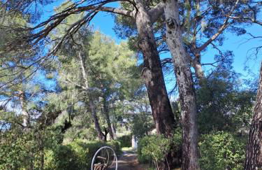 Gîte " Le Clos de la Pinède " - Foto 9