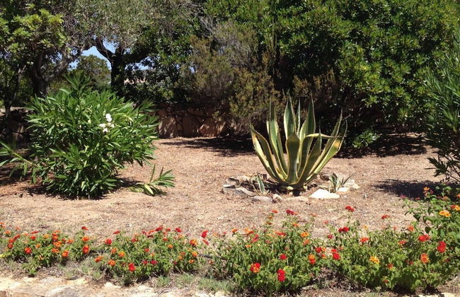 SVS - Lu Impostu Villa e Apartments - Foto 43