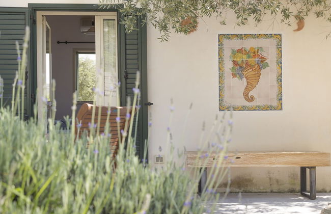 Tenuta Olive Alive - Foto 26