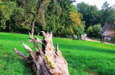 Sunhill Appartments, klimatisiert - Foto 14