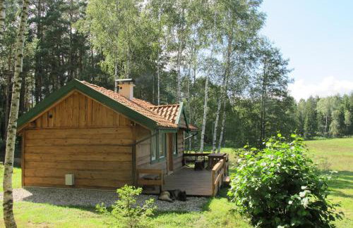 domki na leśnej polanie - Foto 19