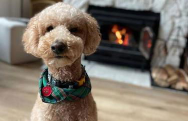 The Scandia “A-Frame Chalet” Fireplace & Hot tub - Foto 22