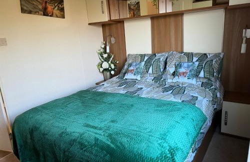 Maneight Fir View with hot tub - Foto 14