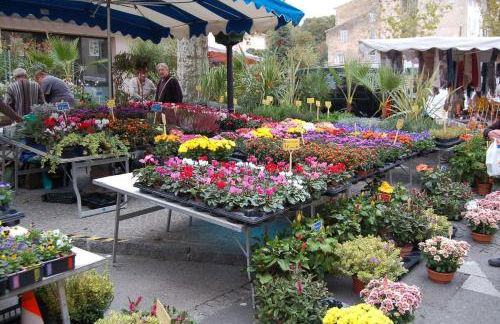 le lavandin - Foto 26