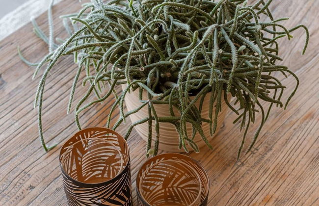 Luxuriuous Family Apartment With Beach View - Foto 24