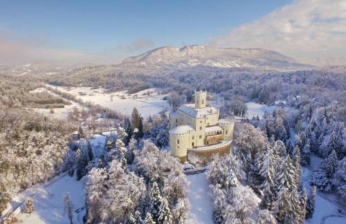 The Cozy Chalet - Foto 58