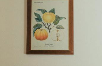 Bellavista Apartments - Foto 43