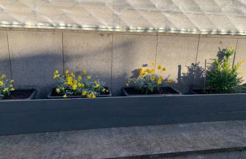 La Terrazza - Foto 4