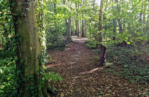 Stone's throw from beach and forest, stunning country walks - Foto 20