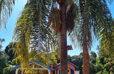 Chácara Santo Antonio - Foto 30