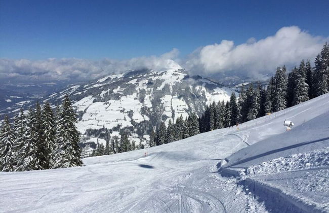 Grand Wastl Comfortable Holiday Residence - Photo 16