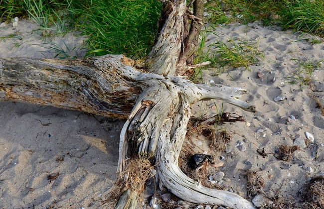 Rustic Holiday Home in Asnæs near Sea - Foto 6