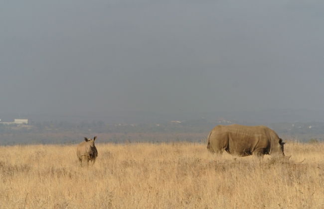 Nyati Hill Cottages - Foto 19