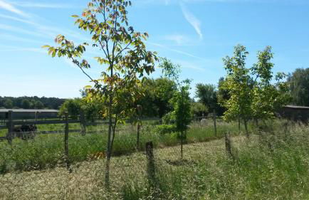 Ferienwohnung Wroblewsky - Foto 43