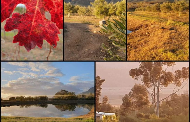 Fraaigelegen Farm - Photo 29