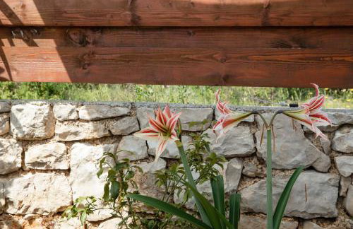 Villa Zdena - Foto 12