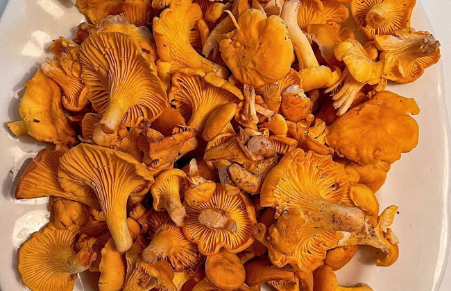 5 Person Holiday Home in Romakloster-by Traum - Foto 16