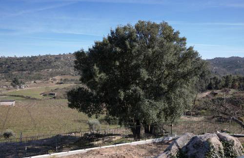 Raposa Verde - Agroturismo - Foto 54