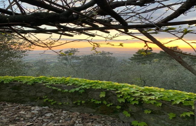 Apartment in Tuscany Near Montecatini Golf Club - Photo 38