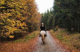 Ferienwohnungen & Landlust Fulda - Photo 45