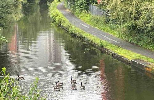 Cityfront Modern Apt Near City Centre/Etihad, Free Parking - Foto 9