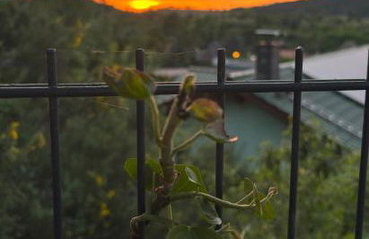 Ferienhaus Glücksmoment - Foto 37