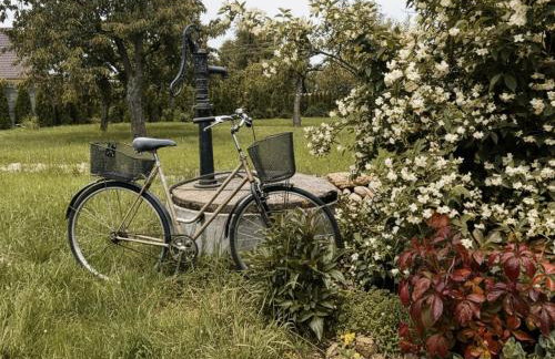 Nuka House - Teatr Natury z Jacuzzi - Foto 15