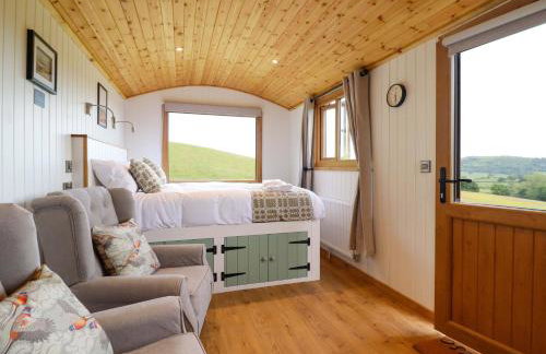 Defaid Cymreig - Foto 8