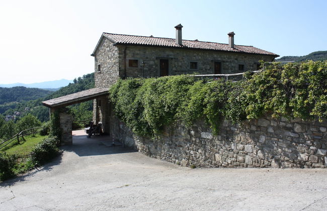 Le Chianine dei Tognoli - Foto 26