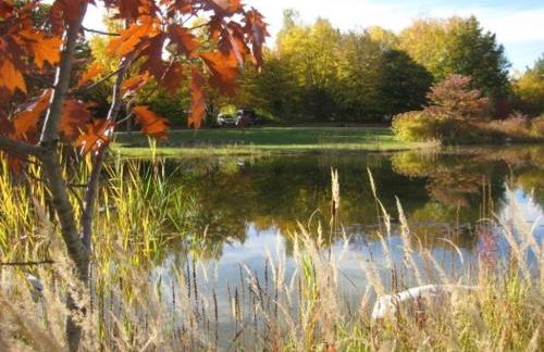 Haus an der Therme - Foto 15