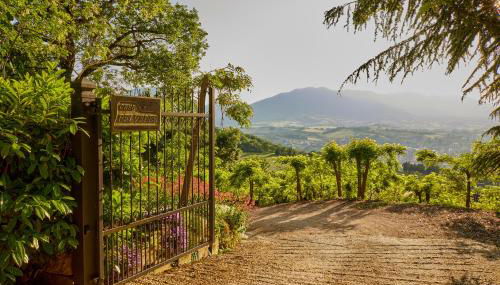 Villa Belveder - Piscina, Parco e Vista by Host Hero - Foto 2