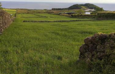 Casa da Tia Avelina - Photo 16