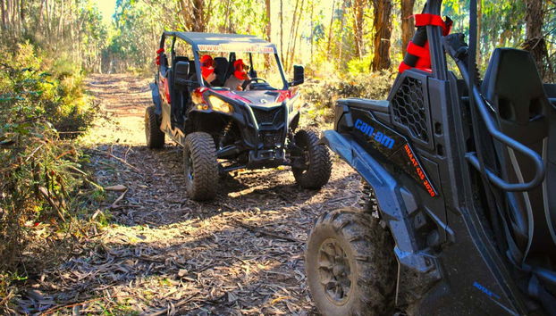 Tour en buggy por Arouca - Foto 3