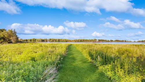 The SeaMeadow - Foto 3