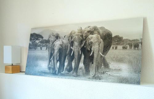 Ferienwohnungen hinter der Residenz - Foto 15