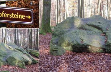 FeWo Charlotte - Foto 31