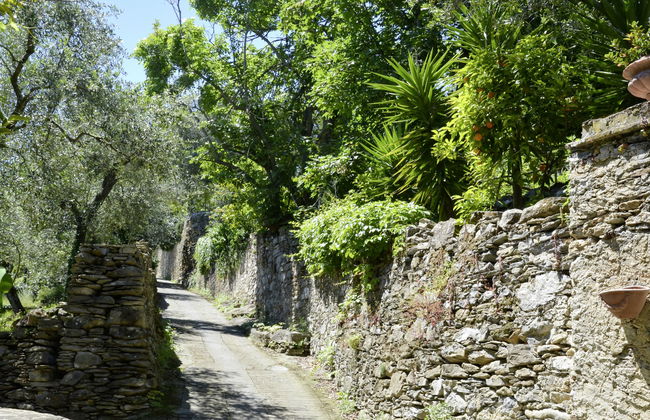 Laura (DOL281) - Foto 24