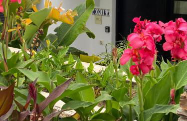 Monika Playa Macenas Mojacar - Foto 12