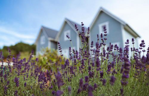 Domki Podniebo - Foto 30