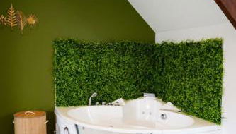 Jungle Room - Studio avec spa privé - Foto 2